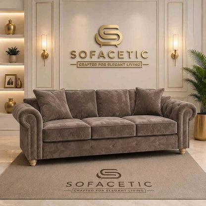 Olympia Ashwin Plush velvet Sofa Set